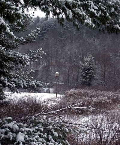 framed bird feeder