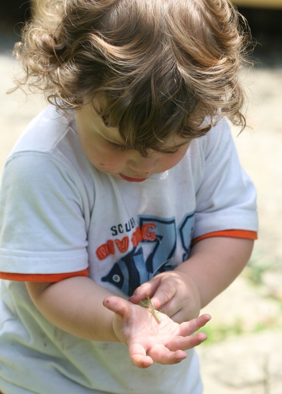 Hayden Holding Mantis