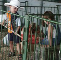 Kids Clean Stall