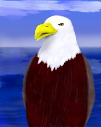 eagle painting