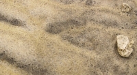 sand patterns