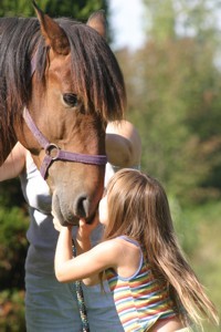 horse and alysa