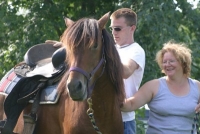 horse training photo