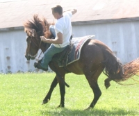 horse bucking photo