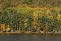 cowans gap state park photo