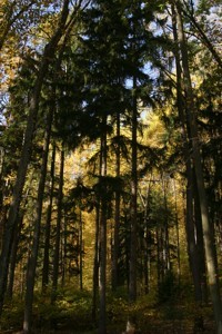 cowans gap state park photo