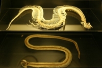 snake skeletons