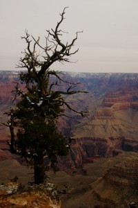 Grand Canyon Photo