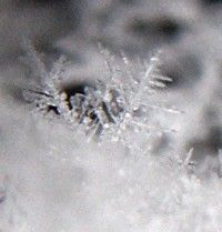 Snowflake Photo