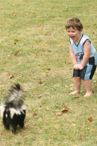 child and skunk