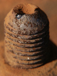 rusty screw