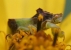ambush bug on yellow flower