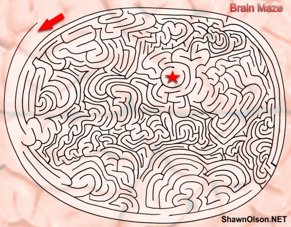 Brain Maze