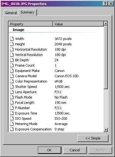 exif data before web image optimizer strips it