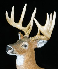 whitetail sculpture