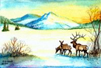 Elk in Snow