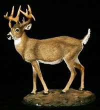 whitetail buck sculpture