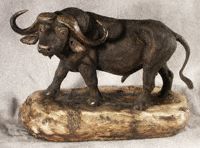 Cape Buffalo 3