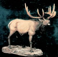 Elk bull Sculpture