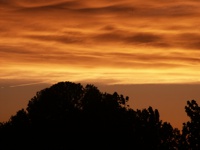 sunset photo