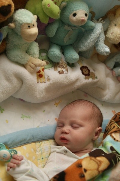 Hayden Sleeping
