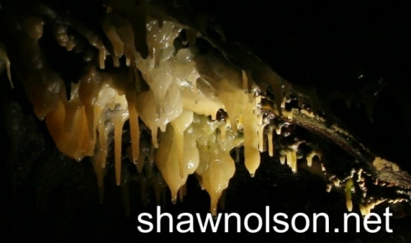 wet stalactites
