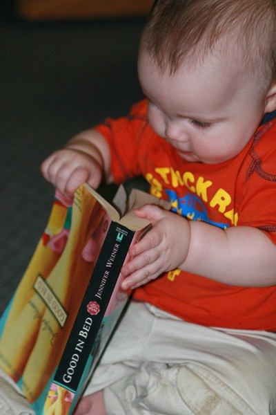 Hayden Opening Book