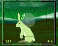 green rabbit