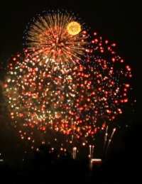 fireworks 2006