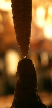 Water Dripping from Stalactite