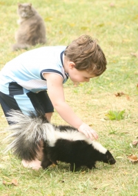 child and skunk