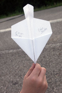 Voyager Paper Plane
