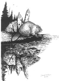 Beaver Ink