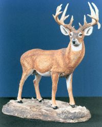 Deer Sculpt 1