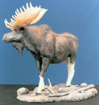 Moose Sculpt 1