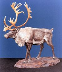 Caribou Sculpt 1
